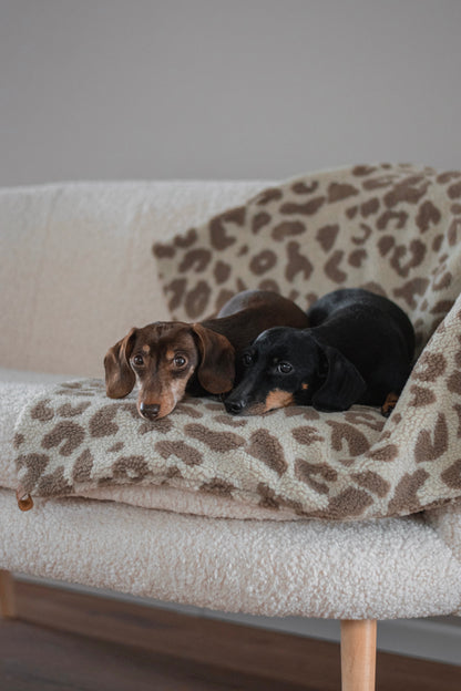 Teddy Dog Blanket - Sand/Brown Leopard