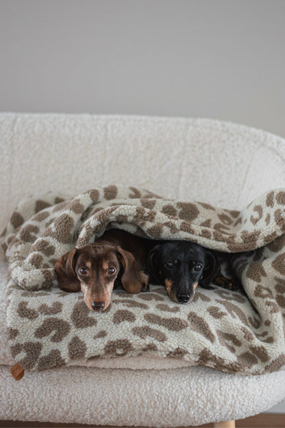 Teddy Dog Blanket - Sand/Brown Leopard