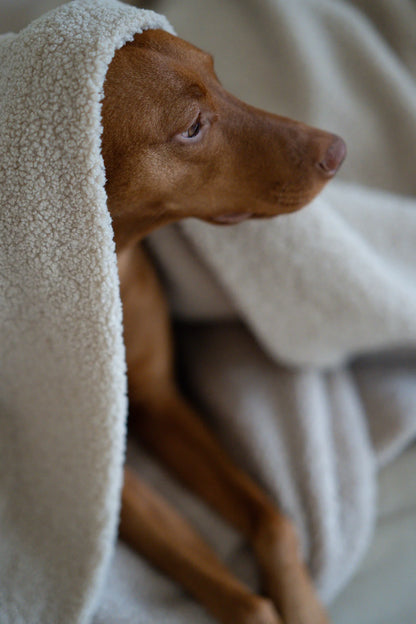 Oversized Teddy Dog Blanket - Beige