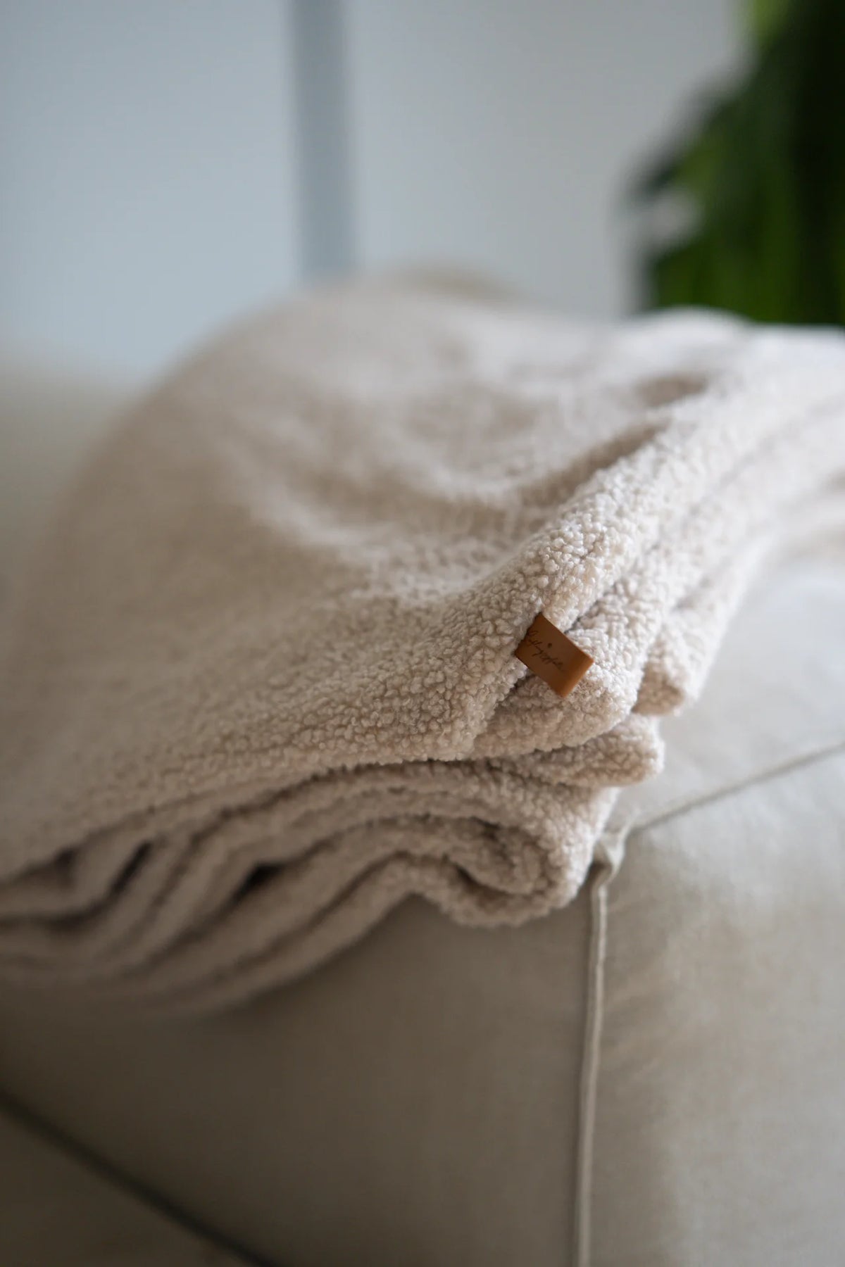 Oversized Teddy Dog Blanket - Beige